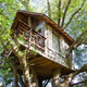 Illustration for article titled These Buildings Were All Built Around Trees